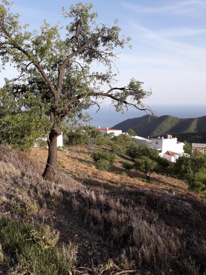 Casa Arte De Sorvilán 外观 照片