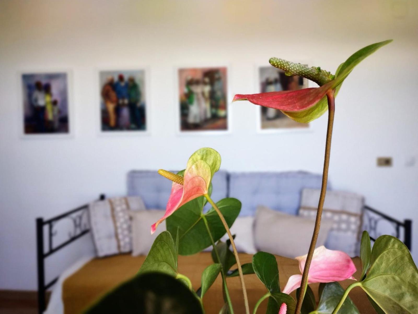 Casa Arte De Sorvilán 外观 照片